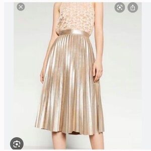 Zara Metallic Gold A-Line Skirt